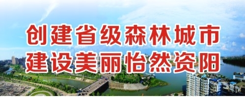 口我的大鸡鸡视频创建省级森林城市 建设美丽怡然资阳